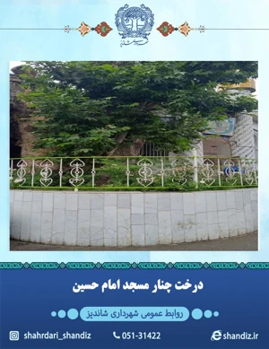 درخت چنار مسجد امام حسین (ع) با قدمتی بین 475-525 سال ثبت میراث ملی کشور شد.